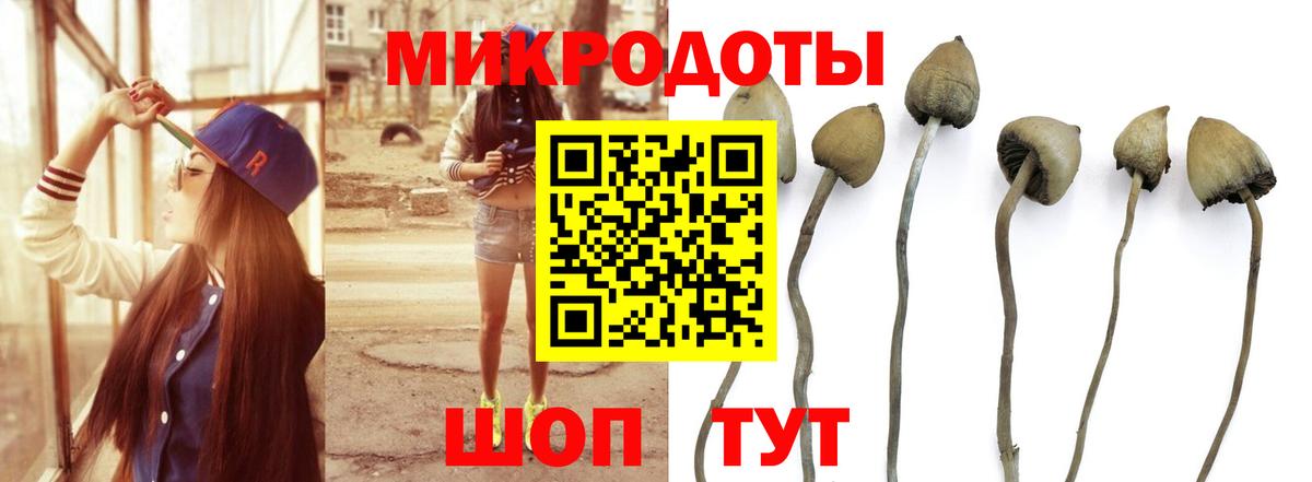 Избербаш  дарнет шоп  Вход с VPN  Псилоцибиновые грибы мицелий 