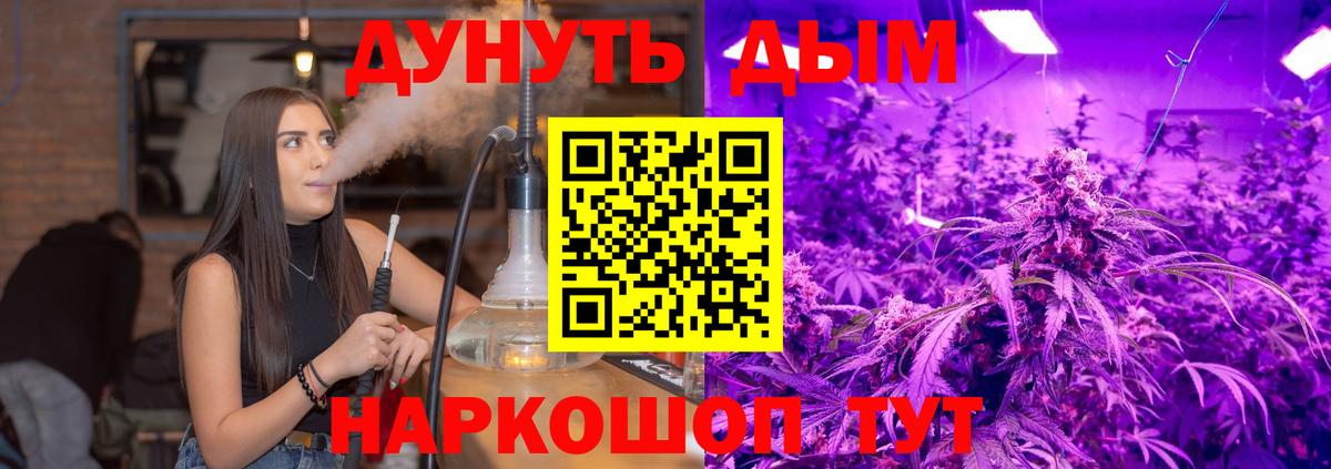 Канабис семена Избербаш